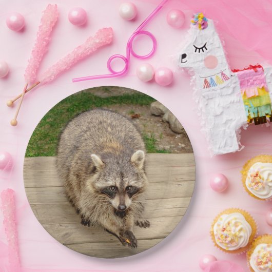Raccoon met chip papieren bordje (Feest)