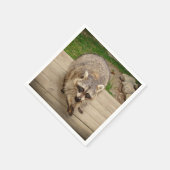 Raccoon met chip servetten (Hoek)