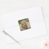Raccoon met chip vierkante sticker (Envelop)