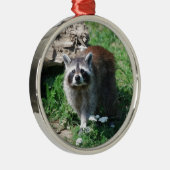 Raccoon Metalen Ornament (Rechts)