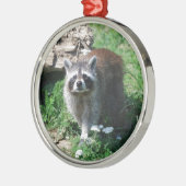 Raccoon Metalen Ornament (Links)