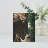 Raccoon Moeder en Kit 2 Briefkaart (Staand voorkant)