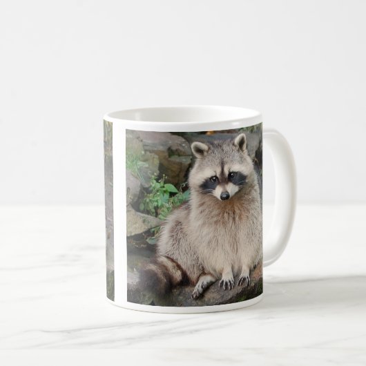 Raccoon Mok (Voorkant rechts)