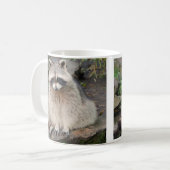 Raccoon Mok (Voorkant links)