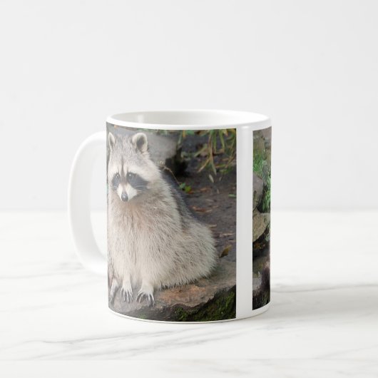 Raccoon Mok (Voorkant links)