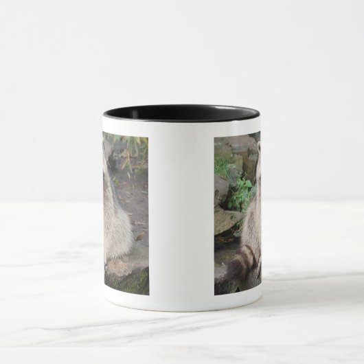 Raccoon Mok (Midden)