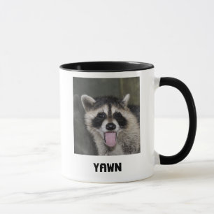 Raccoon Mok
