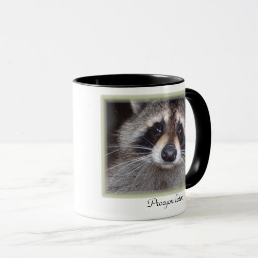 Raccoon-mok - Procyonlotor Mok (Voorkant rechts)