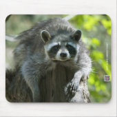 Raccoon Mousepad Muismat (Voorkant)