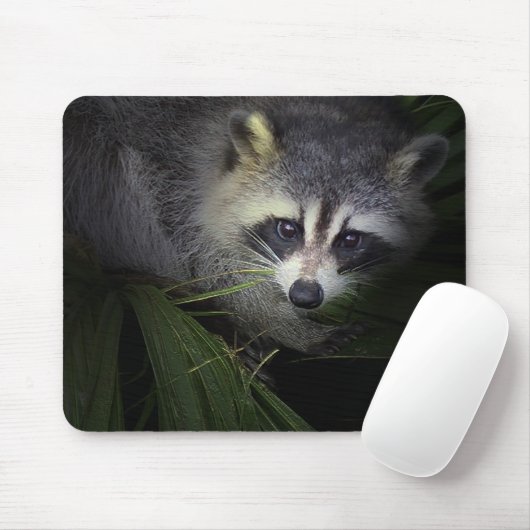 Raccoon Mousepad Muismat (Met muis)