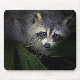 Raccoon Mousepad Muismat