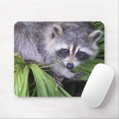 Raccoon Muismat (Met muis)