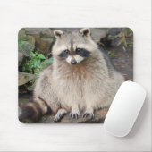 Raccoon Muismat (Met muis)
