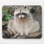 Raccoon Muismat (Voorkant)