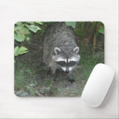 Raccoon Muismat (Met muis)