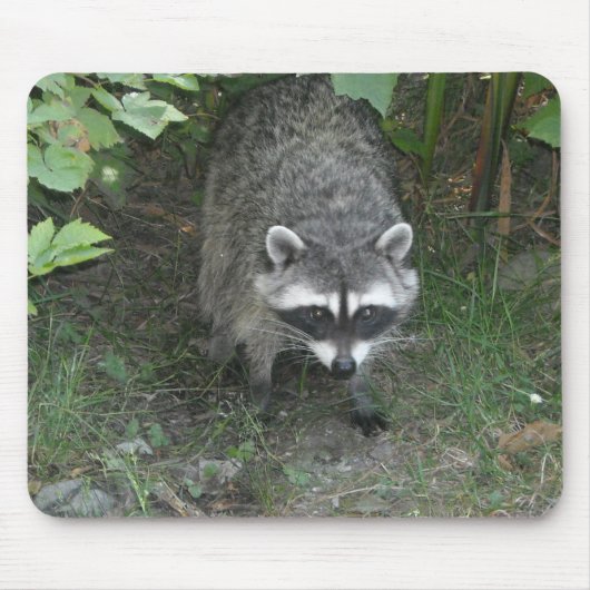 Raccoon Muismat (Voorkant)
