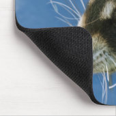 Raccoon Muismat (Hoek)