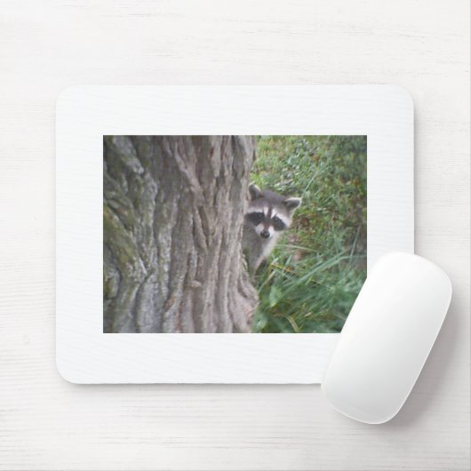 Raccoon Muismat (Met muis)