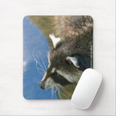 Raccoon Muismat (Met muis)
