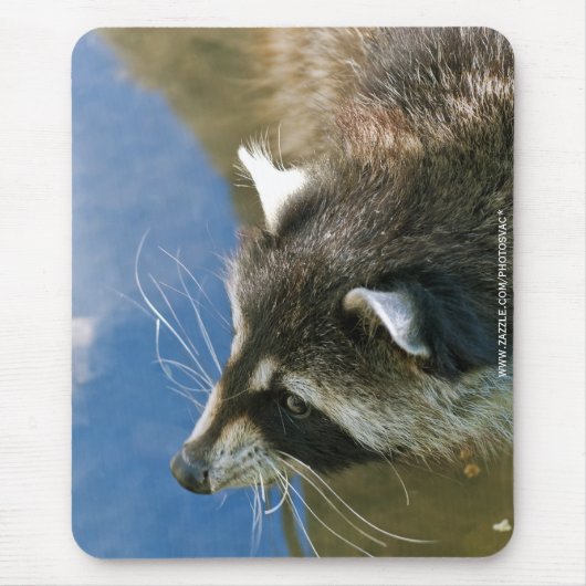 Raccoon Muismat (Voorkant)