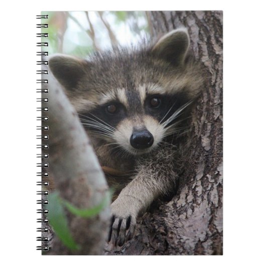 Raccoon Notitieboek (Voorkant)
