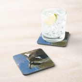 Raccoon Onderzetter (Rechterzijde)