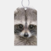 Raccoon op cadeau-Label Cadeaulabel (Voorkant)