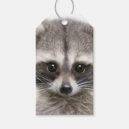 Raccoon op cadeau-Label Cadeaulabel