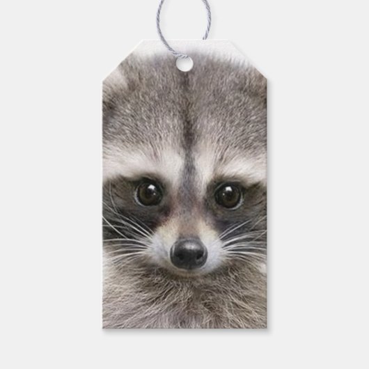 Raccoon op cadeau-Label Cadeaulabel (Voorkant)