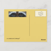 Raccoon op gele briefkaart (Achterkant)