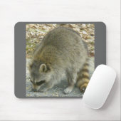 Raccoon op Rock Mousepad Muismat (Met muis)
