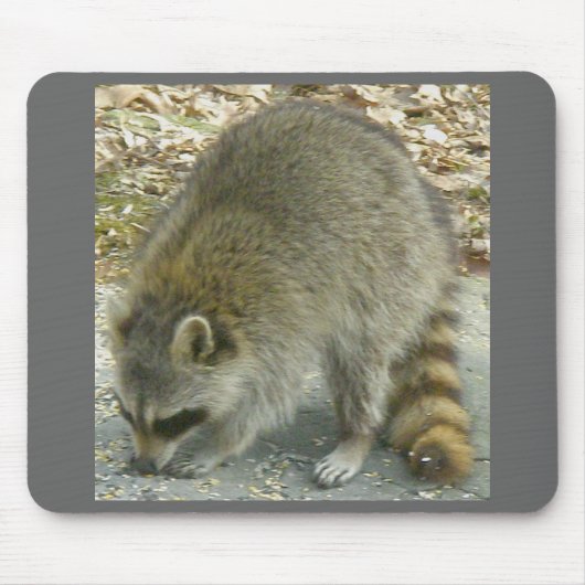 Raccoon op Rock Mousepad Muismat (Voorkant)