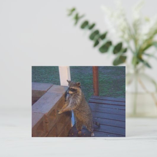 Raccoon op rugzak briefkaart (Staand voorkant)