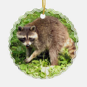 Raccoon Ornament