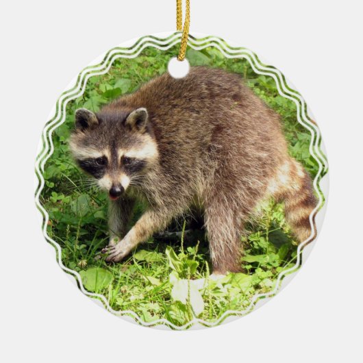 Raccoon Ornament (Voorkant)