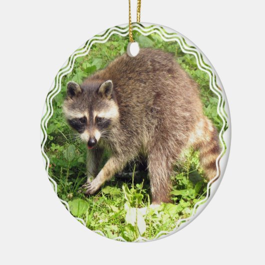 Raccoon Ornament (Links)