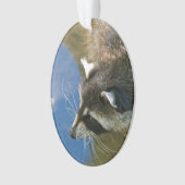Raccoon Ornament (voorkant)