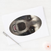 Raccoon Ovale Sticker (Envelop)