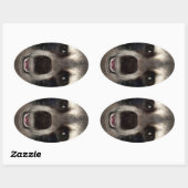 Raccoon Ovale Sticker (Vel)