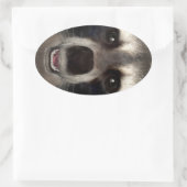 Raccoon Ovale Sticker (Tas)