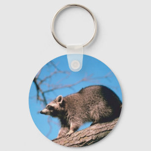 Raccoon Perched Sleutelhanger
