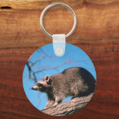 Raccoon Perched Sleutelhanger (Voorkant)