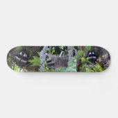 Raccoon Persoonlijk Skateboard (Horizontaal)