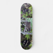 Raccoon Persoonlijk Skateboard (Voorkant)