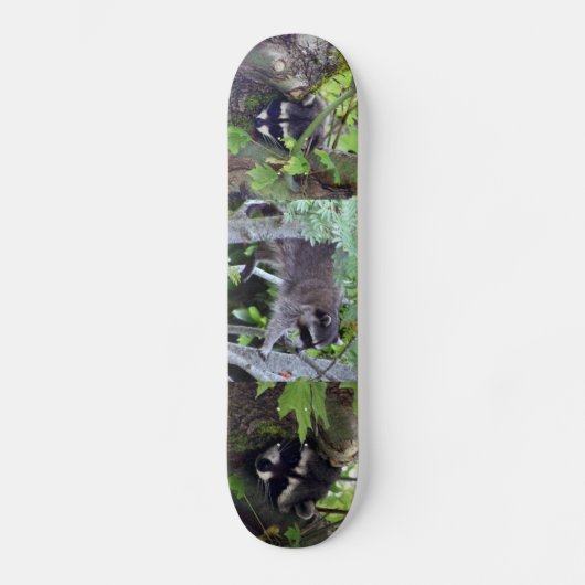 Raccoon Persoonlijk Skateboard (Voorkant)