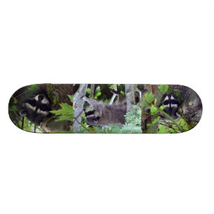 Raccoon Persoonlijk Skateboard