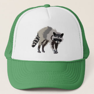 Raccoon pet