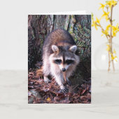 Raccoon Photo Kaart (Gele Bloem)