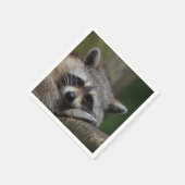 Raccoon Photo Servet (Hoek)