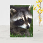 Raccoon Photo Wenskaart Kaart (Gele Bloem)